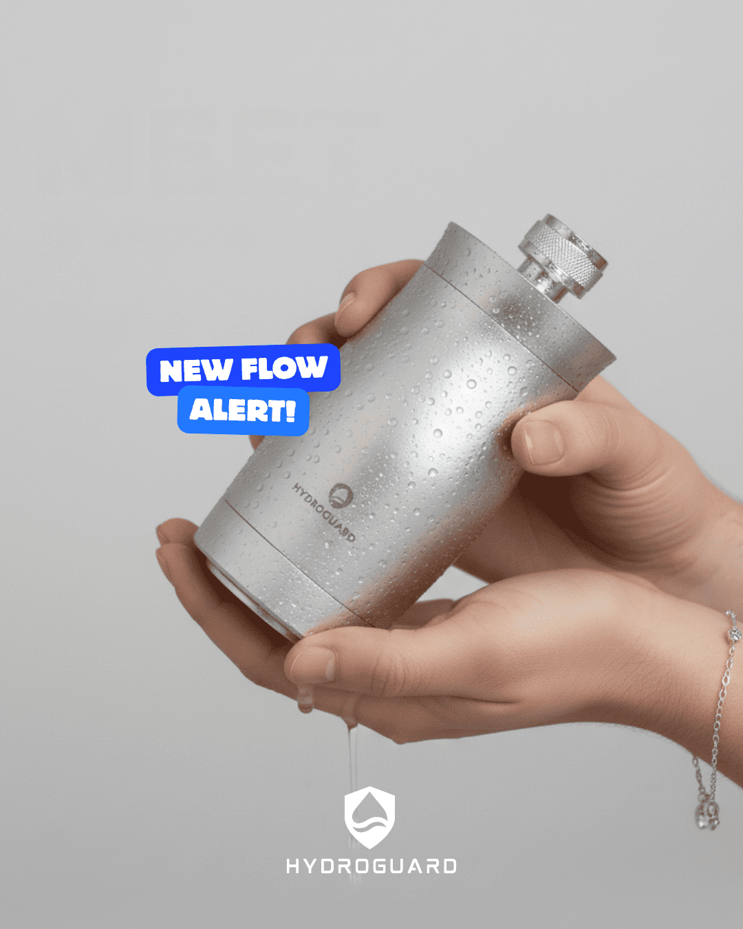 Hydroguard shower filter