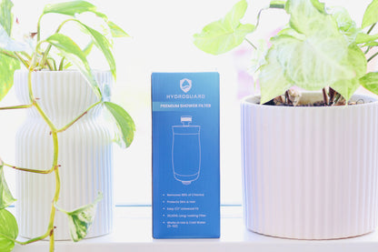 Shower Filter Starter Kit