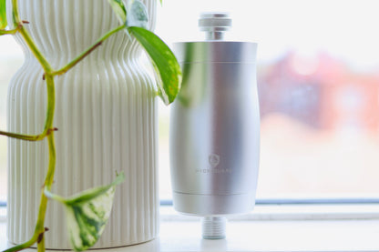 Shower Filter Starter Kit